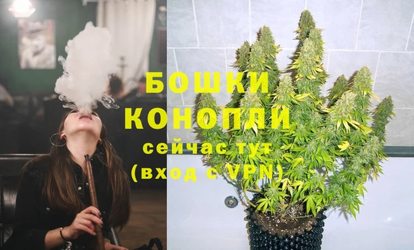 гашик Вязьма