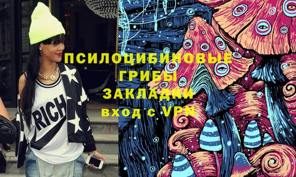 МДПВ Волоколамск