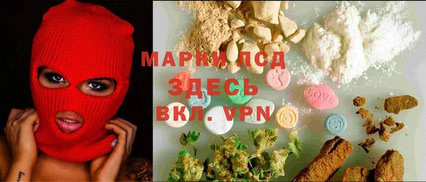 гашик Вязьма