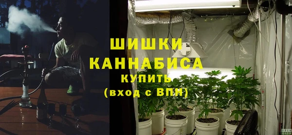 МДПВ Волоколамск