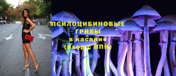 стаф Волосово